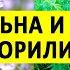 Лён и Конопля важнее золота и нефти Шокирующая информация Кто виноват и что делать