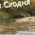 Звуки осеннего леса возле реки Река Сходня посёлок Новобратцевский журчание