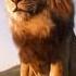 The Lion King Mufasa Roar