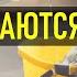 ПОРЯДОК В ДОМЕ ПО НЕМЕЦКИ Как немцы наводят порядок