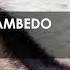 Roger Shah Ambedo Wolves