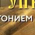 Толкование Евангелия с митр Антонием Паканичем Суббота 8 марта 2025 г Великий пост