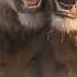 Mufasa The Lion King Official Trailer Disney UK