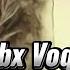IBROHIM PAYG AMBAR QISSASI OG IR SINOV Ochiq Balo ZABX VOQEASI Paygambarlartarixi Ibrohim