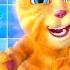 Talking Ginger Hd Videos 0111 Trending Talkingginger Talking Shorts 2025