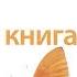 Акунин Детская книга