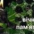 Знаю папа