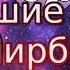 Все песни мирби