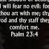 Psalm 23 4 KJV Audio Bible Though I Walk Through The Valley Of The Shadow Of Death