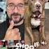 Talking To Penny The Talking Dog From TikTok