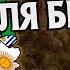 Почему Латинская Америка такая нищая