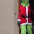 The Grinch