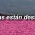 Elvis Presley Can T Help Falling In Love Sub Español