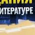 Разбор заданий с РЕАЛЬНОГО ОГЭ по литературе Умскул