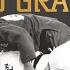 Judo Grand Prix Ulaanbaatar 2016 Day 1 Final Block