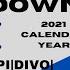 Which Income Fund Is Best 2021 Results NUSI JEPI QYLD DIVO RYLD XYLD SLVO