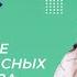 Видеоурок 33 2 Правописание парных согласных на конце слова Письмо 1 класс