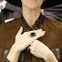 Celine Dion Shorts Celinedion Celebrity Singer Style Music Artist Concert Song Songs Fashion Memes