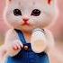 Diggy Diggy Dum Dum Cat Trending Shorts Shortvideo Yutubeshorts Enjoy0