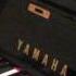 ABRSM Piano 2013 2014 Grade 2 C2 Polka AVI