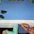 Mindful Minute Left Side Lay For Anxiety Stomach Aches