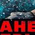ЗУБАРЕВ СМОТРИТ ПЛАНЕТА ОБЕЗЬЯН ВОЙНА ЛУЧШИЕ МОМЕНТЫ РЕАКЦИЯ ЗУБАРЕВА НА ФИЛЬМ