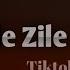Zile Zile Mile Mile Tiktok Remix Song