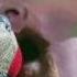 13 Better Guns N Roses Rock In Rio 2011 FULL HD