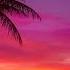 3 HOURS Ambient Chillout Music Balearic Sunset Session By Jjos Terrace Mix Summer 2019