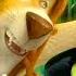 Legends Of Oz Dorothy S Return Movie CLIP We Need Dorothy 2014 Animated Movie HD