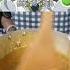 Make Coke With Lime From Dr STONE
