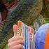 Can Blippi Find All The Dinosaurs Educational Fun At The Prehistoric Forest