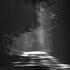 Matroda Shapeless Jungle In Brazil Extended Mix