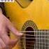 Hotel California Eagles Guitar Music Guitarist Spanish Flamenco Cover California