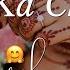Chand Rat Mubarak Status Chand Rat Mubarak Whatsapp Status Eid Ka Chand Mubarak Status