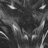 FREE Dark Old School Boom Bap Type Beat Underground Freestyle Rap Beat Hellhound