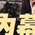 四中全會 習派出局 關稅談判 王毅不能上桌 白宮內幕 美國安顧問因何丟官 中東將有大變局 政論天下第1615集 20250504 天亮時分
