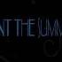 Sam Feldt X Lucas Steve Feat Wulf Summer On You Lyrics On Screen HD