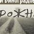 В городском саду