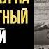 Как Пилот в 1976 году Украл Новый Секретный МИГ 25 и Скрылся в Японии