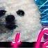 Gabe The Dog Sweet Borks