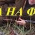 Охота на фазана ХОРОШИЙ фазан