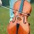 The Unforgiven Metallica Metallica Coversong Viral Cello