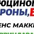 Секс Бог похороны галлюциногены и Теренс МакКенна DenSuperEgo Путешествия Индия Вриндаван