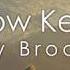 Ally Brooke Low Key Lyrics Lyric Video Ft Tyga