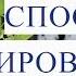 Пикировка Томатов Рассада Вытянулась Что Делать Если Вытянулась Рассада Томатов