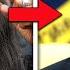 Jasmine Crockett DESTROYS Trump With 1 Sentence That Left The Room STUNNED