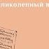 Скрипка Ибрагима Уроки скрипки Скрипка туториал Великолепный век