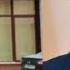 Пенсионер беженец не выдержал и выдал всю правду Такой Русский мир по телеку не покажут