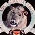 MGM Logo History In Reverse